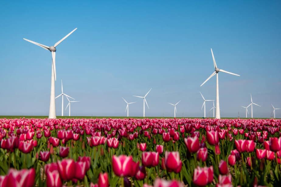 Les avantages d'une éolienne de jardin | Eolienne-Heragos